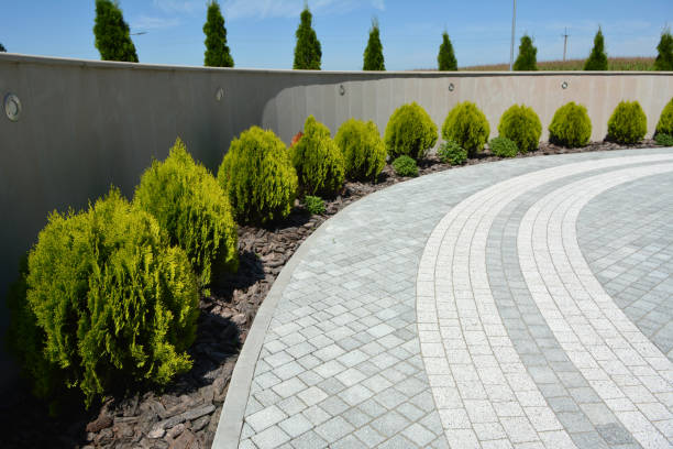 Reasons to Select Us for Your Driveway Paving Requirements in Asheboro, NC